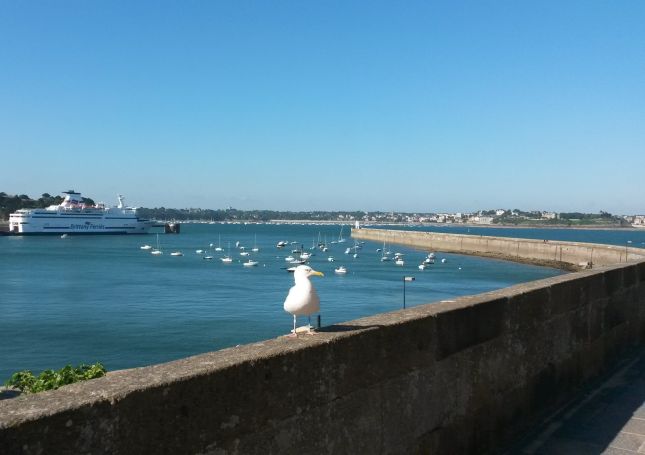 vente Grand appartement vue mer à Saint-Malo Intra-Muros