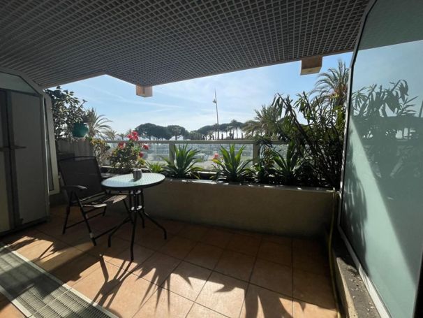 A vendre STUDIO 24 M2 TERRASSE PIEDS DANS L'EAU GOLFE JUAN