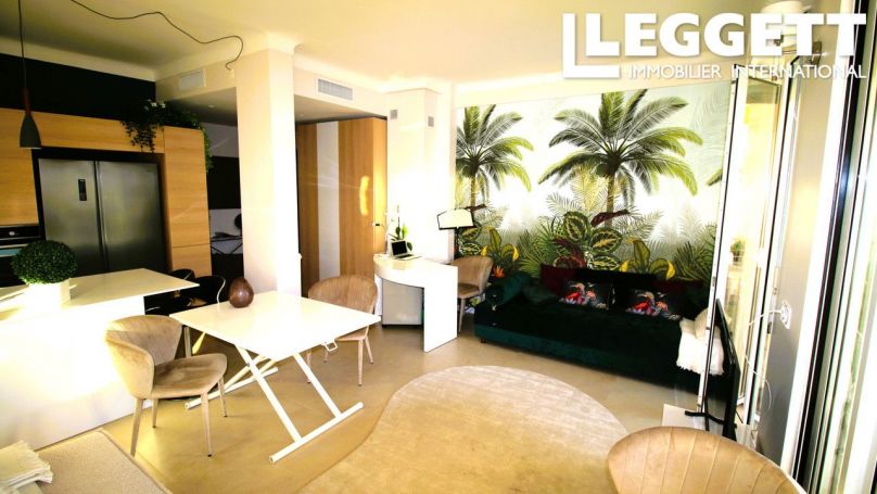 APPARTEMENT T2 57 M2 VUE MER NICE