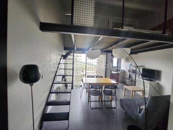 APPARTEMENT T3 52 M2 TERRASSE  PEONE