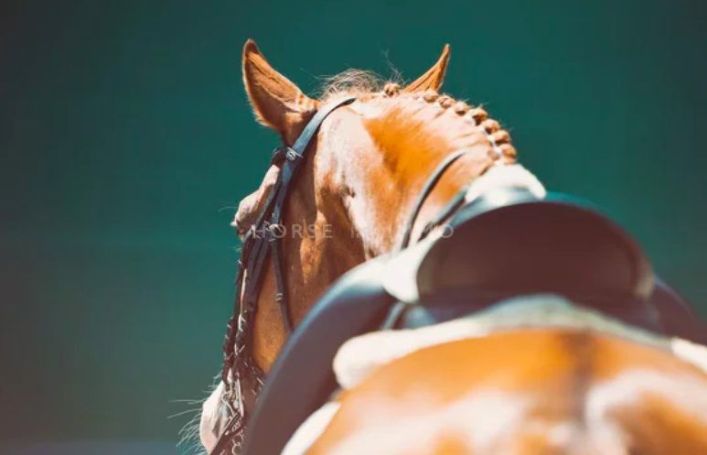 A louer MAISON 7 PIECES 160 M2 MONTPELLIER