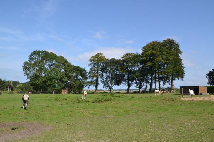 A vendre Maison de maître 2.3 hectares proche de Veules les roses (76)