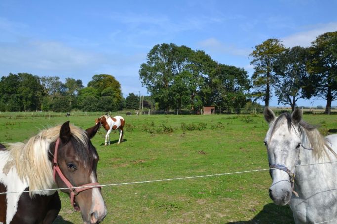 A vendre Maison de maître 2.3 hectares proche de Veules les roses (76)