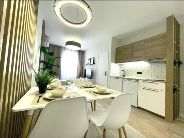 A louer APPARTEMENT T2 29 M2 BORD DE MER CANNES