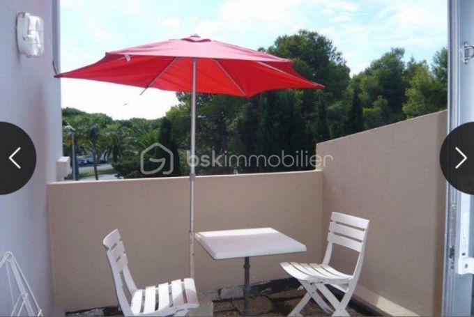 STUDIO  24 M2 TERRASSE BORD DE MER SAINT CYPRIEN