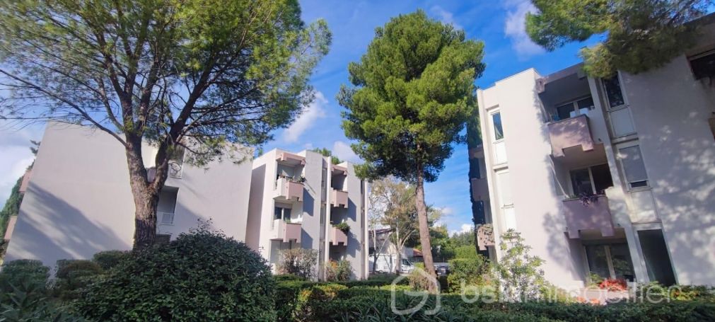 APPARTEMENT T2 47 M2 TERRASSE  MONTPELLIER