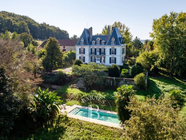 A vendre BEAU MANOIR NAPOLEON III 14 PIECES 520 M² SALIES DU BEARN