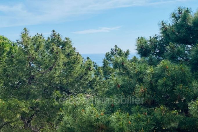 APPARTEMENT NEUF T2 50 M2 BORD DE MER BANYULS SUR MER