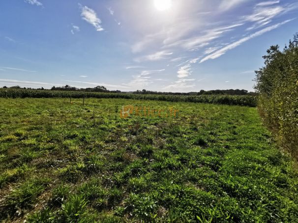 A vendre Terrain constructible 1000 M² Auffay