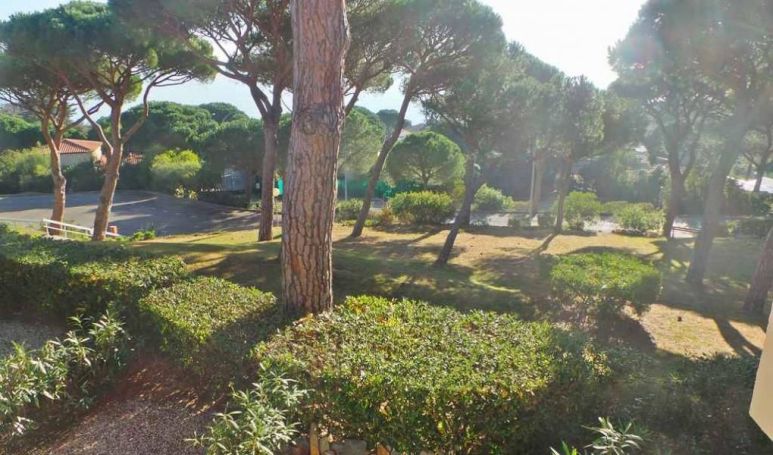 A louer APPARTEMENT T2 28 M2 TERRASSE VUE MER SAINTE MAXIME