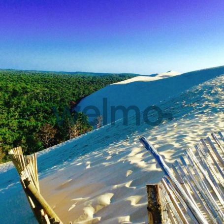 A vendre Maison - 5 pièces - 121 m² - La Teste-de-Buch 33260 33260 La Teste De Buch