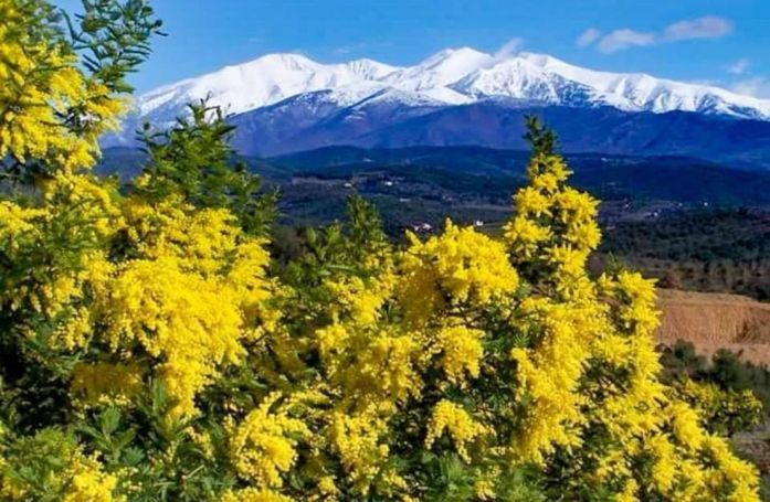 A louer MAISON 6 PIECES 200 M2 BORD DE MER SAINT CYPRIEN