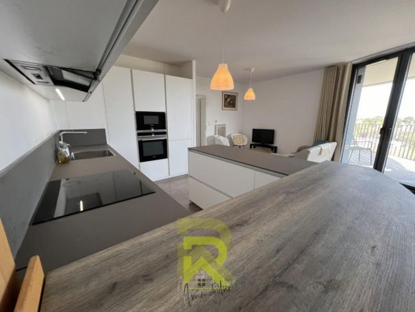 A louer APPARTEMENT T3 64 M2 TERRASSE MONTPELLIER