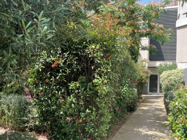 A louer APPARTEMENT T2 43 M2 BORD DE MER AGDE