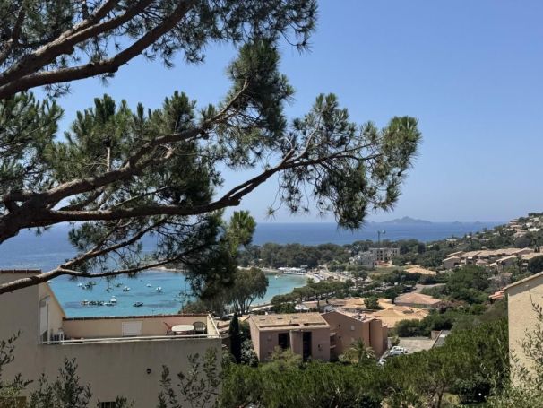 A louer STUDIO 27 M2 TERRASSE BORD DE MER AJACCIO