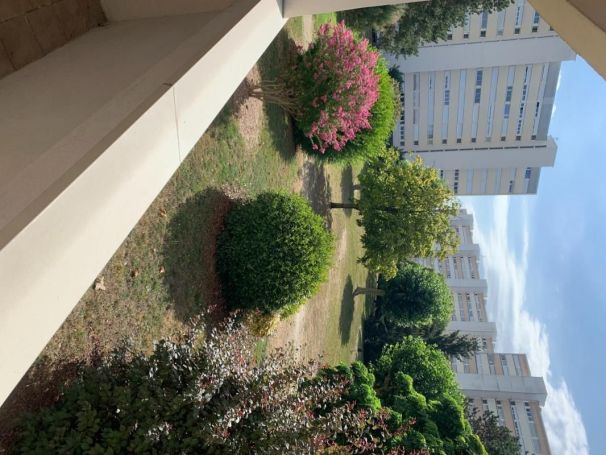 A louer APPARTEMENT T3 55 M2 LE BOUSCAT