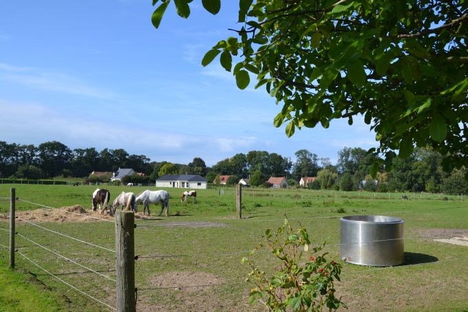 A vendre Maison de maitre avec centre équestre proche de Veules les roses (76)