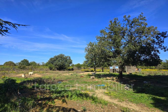 A louer MAISON 4 PIECES 154 M2 LAROQUE DES ALBERES Village