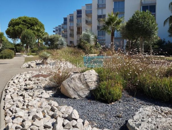 A louer STUDIO 27 M2 TERRASSE BORD DE MER LE GRAU DU ROI