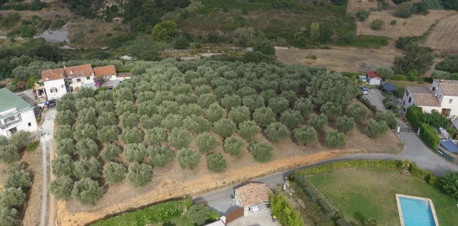 A vendre Somptueux ET Unique Terrain constructible avec vue Panoramique CAGNES SUR MER