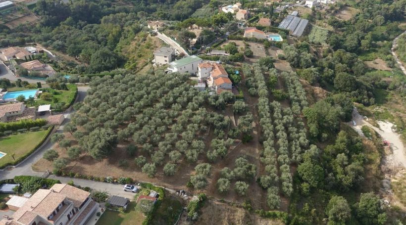A vendre Somptueux ET Unique Terrain constructible avec vue Panoramique CAGNES SUR MER