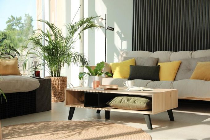 A louer APPARTEMENT T3 61 M2 TERRASSE CLERMONT L HERAULT