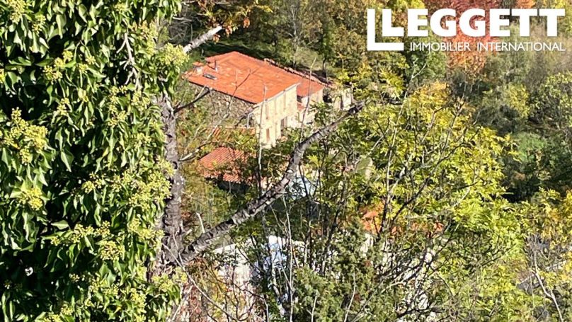 A vendre GîTE MONTFERRER