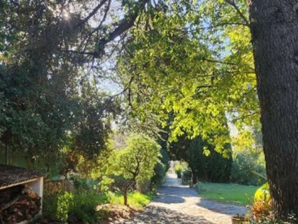 A louer MAISON 6 PIECES 264 M2 BORD DE MER TOULON