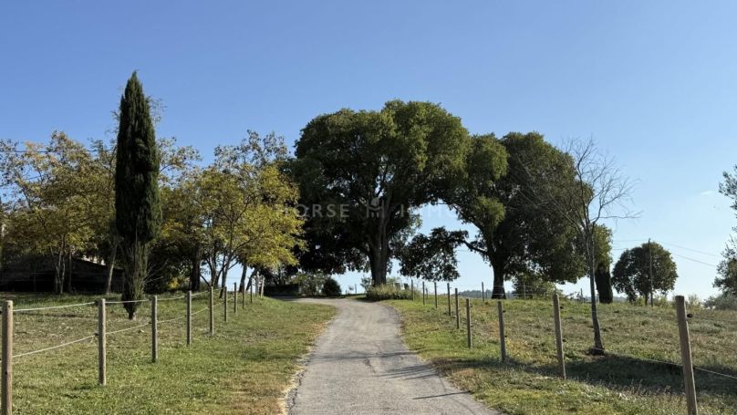 A louer APPARTEMENT DE PRESTIGE 597 M2 TERRASSE SOMMIERES