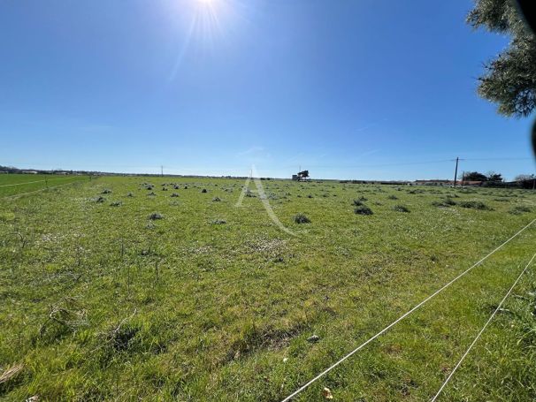 A vendre MAISON 5 PIECES 124 M2 BORD DE MER LONGEVILLE SUR MER