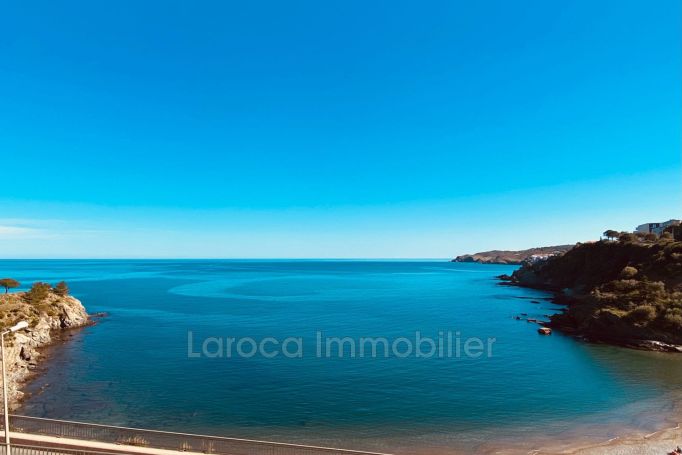 A louer APPARTEMENT T3 44 M2 TERRASSE PIEDS DANS L'EAU BANYULS SUR MER