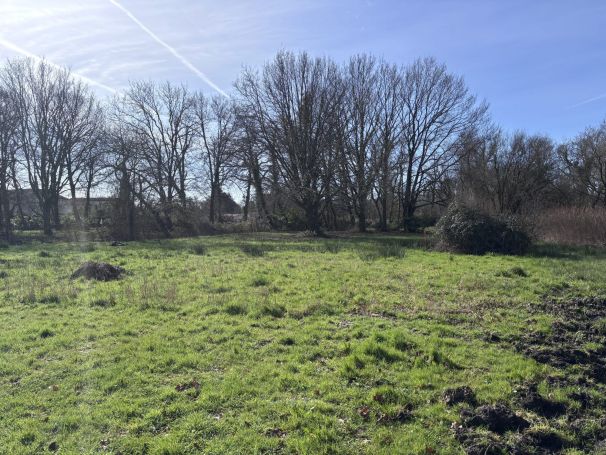 A vendre magnifique terrain constructible 2200 m² Lanton