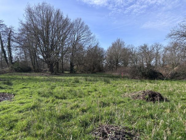 A vendre magnifique terrain constructible 2200 m² Lanton