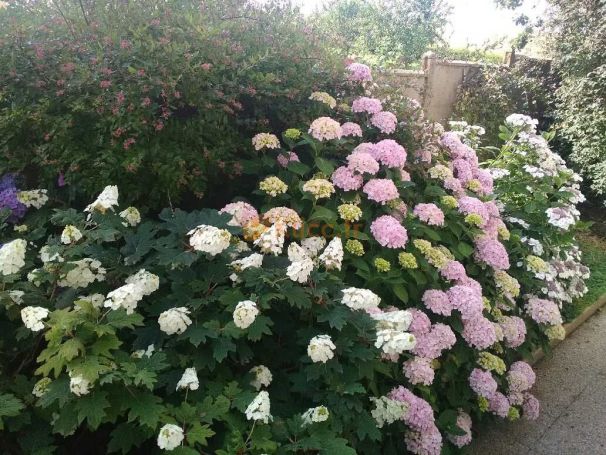 A vendre MAISON 5 PIECES 115 M2 BORD DE MER DIEPPE à 5 minutes de la mer et de Neuville-sur-Dieppe et 10 minutes de Dieppe